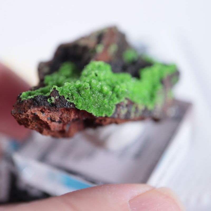 メキシコ産 コニカルサイト | 鉱物標本,カ行,カルサイト/方解石