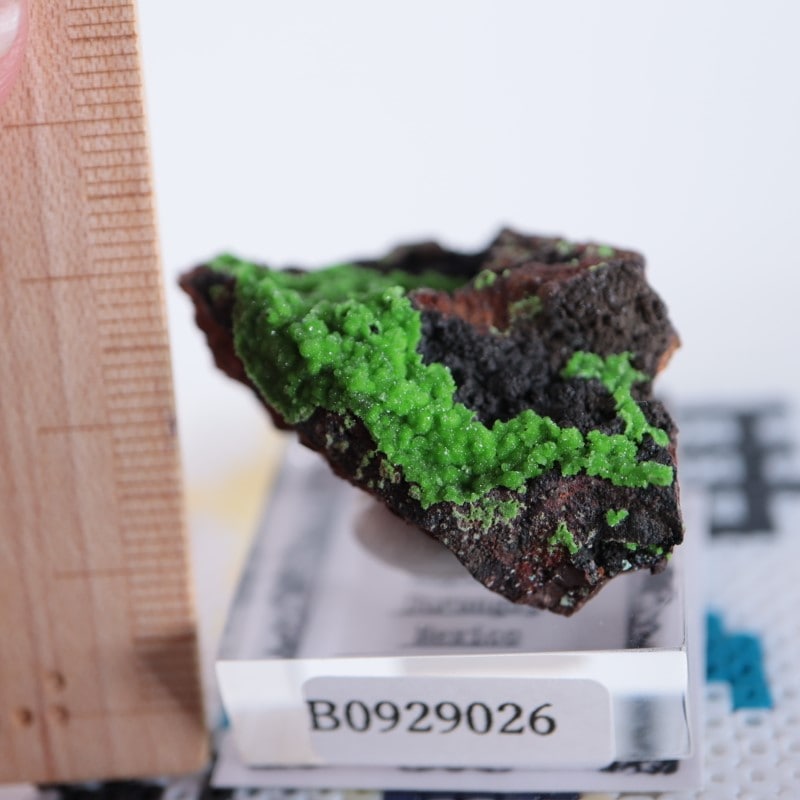 メキシコ産 コニカルサイト | 鉱物標本,カ行,カルサイト/方解石