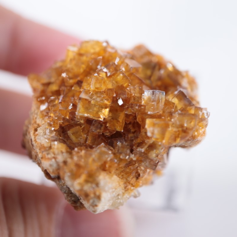 閉山ヒルトン鉱山　フローライト 蛍石　鉱物　鉱物標本 原石 fluorite ヒルトン鉱山 フローライト | 鉱物標本,ハ行,フローライト/蛍石