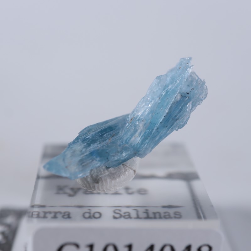 �֥饸�뻺��������ʥ���