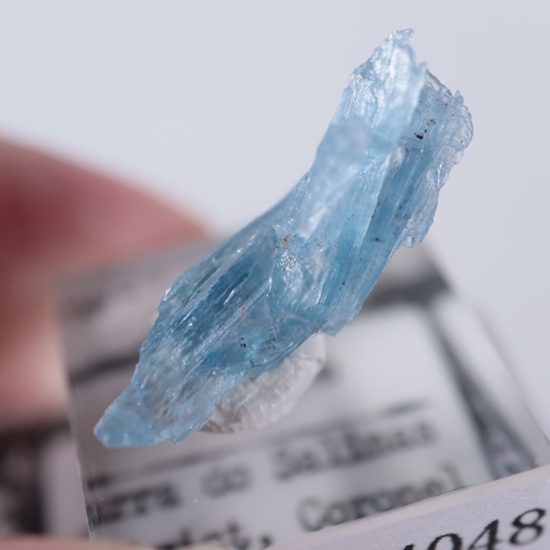 �֥饸�뻺��������ʥ���