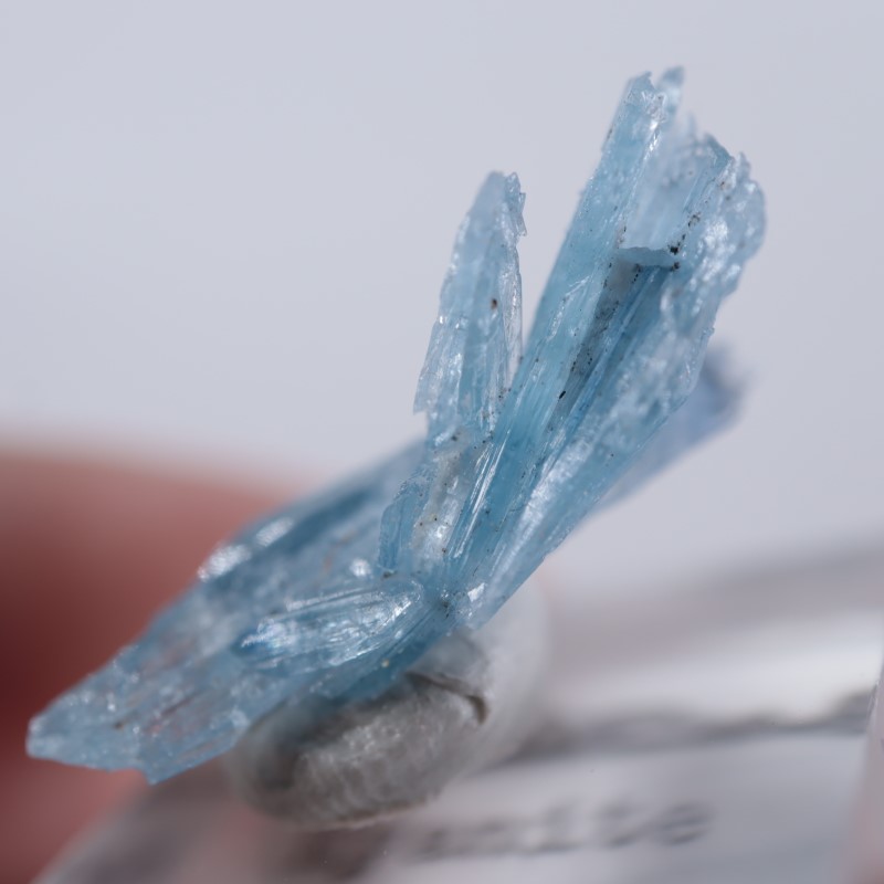 �֥饸�뻺��������ʥ���