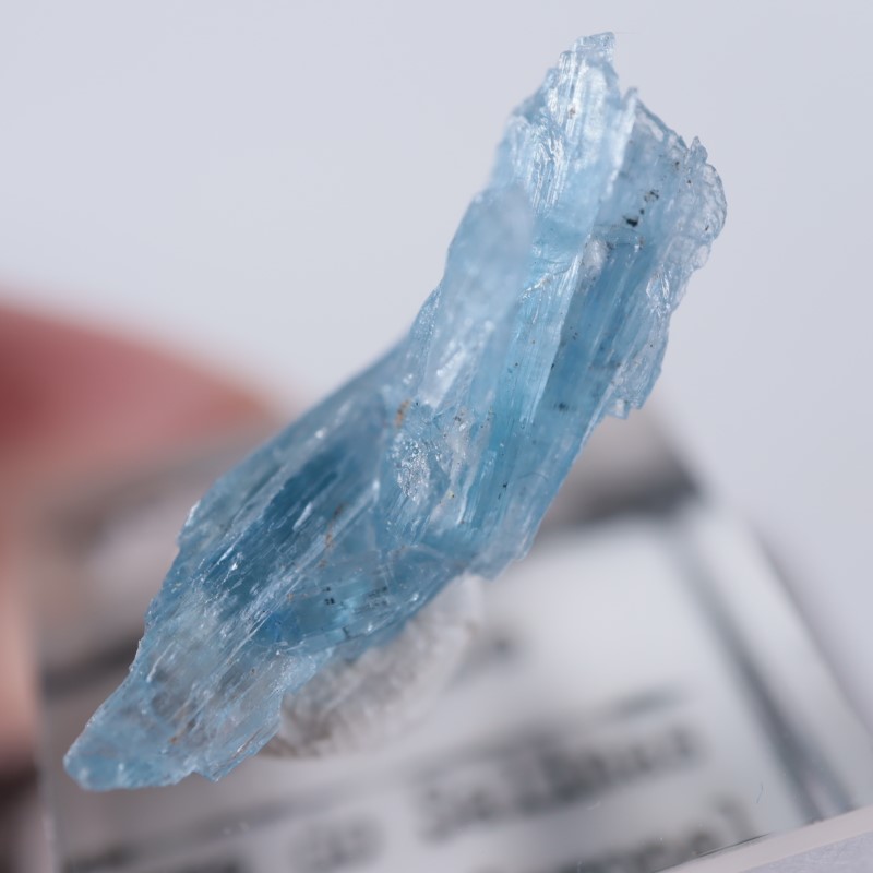 �֥饸�뻺��������ʥ���