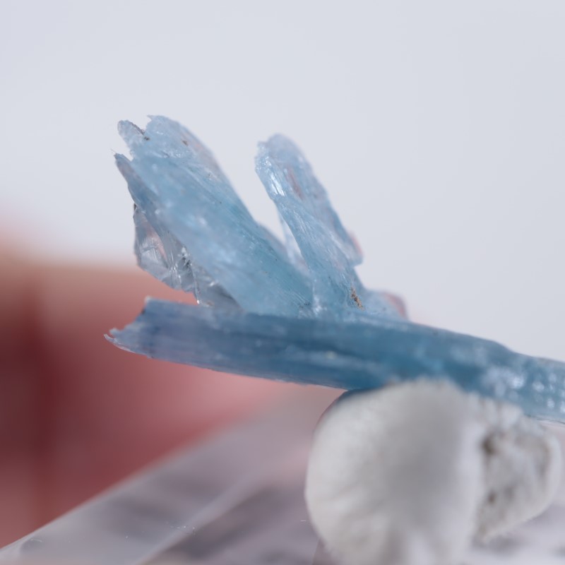 �֥饸�뻺��������ʥ���