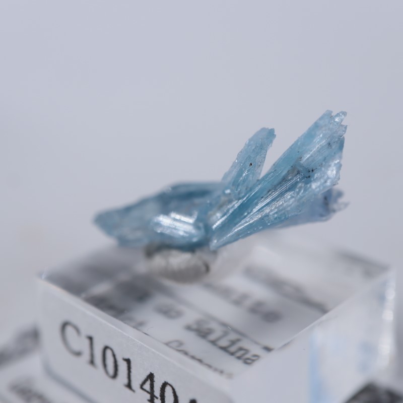 �֥饸�뻺��������ʥ���