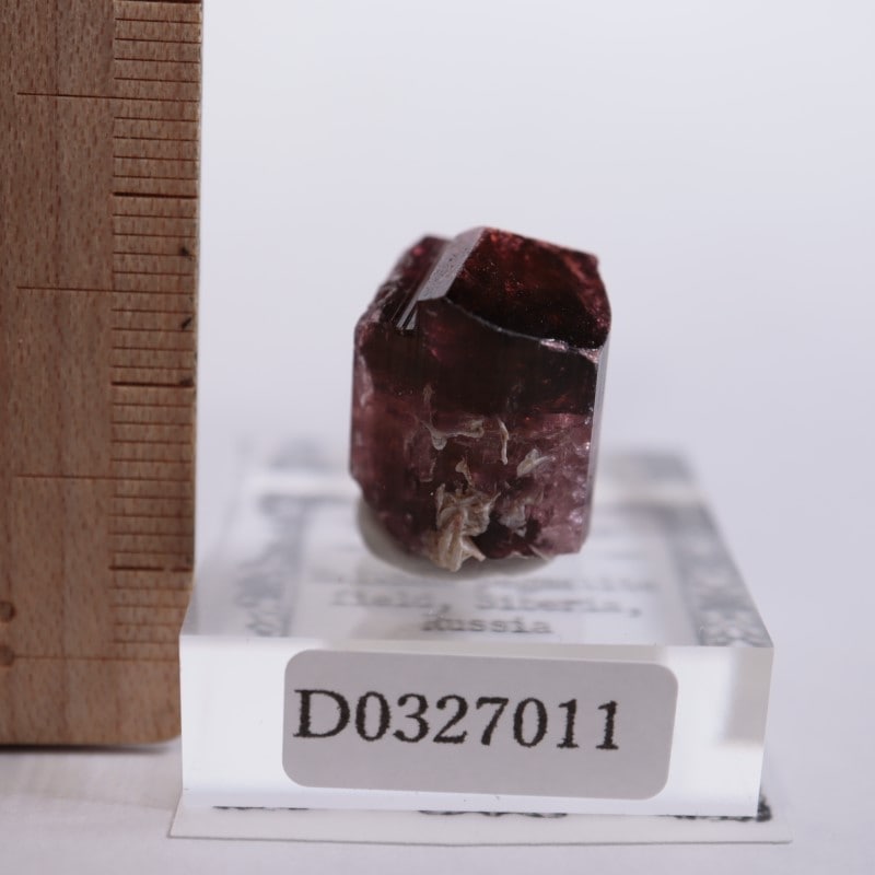 ブラックトルマリン上のガーネット 外国産鉱物標本 結晶 原石 柘榴石 天然石 長石の上に黒トルマリンとクォーツを散りばめた赤いガーネットの結晶 - パキスタン