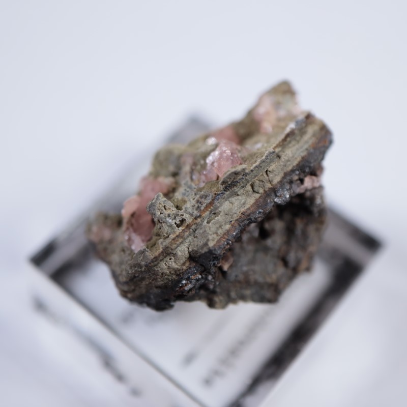 �ᥭ�������������ɥ���������