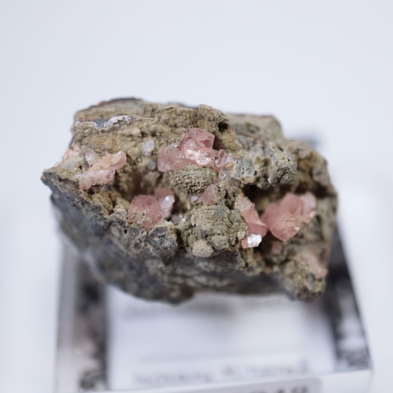 �ᥭ�������������ɥ���������