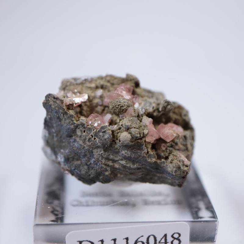 �ᥭ�������������ɥ���������