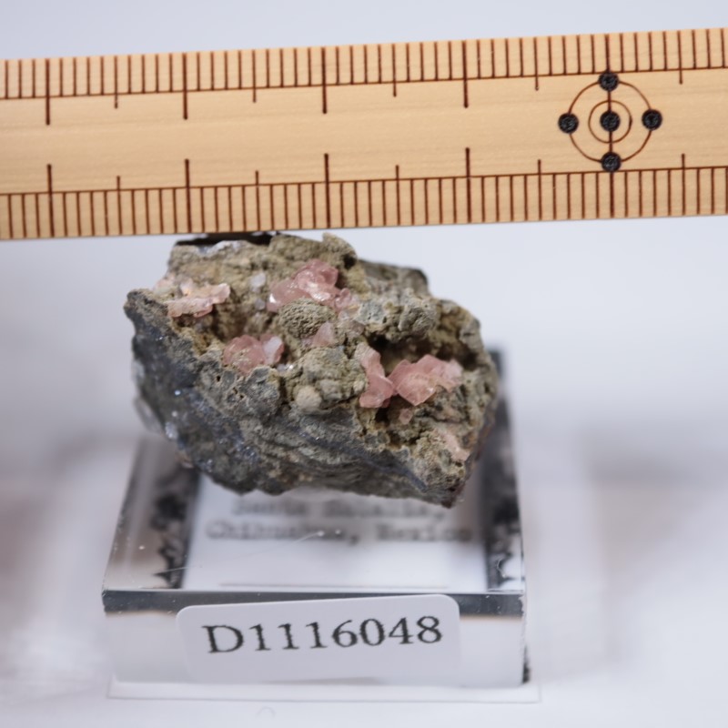 �ᥭ�������������ɥ���������