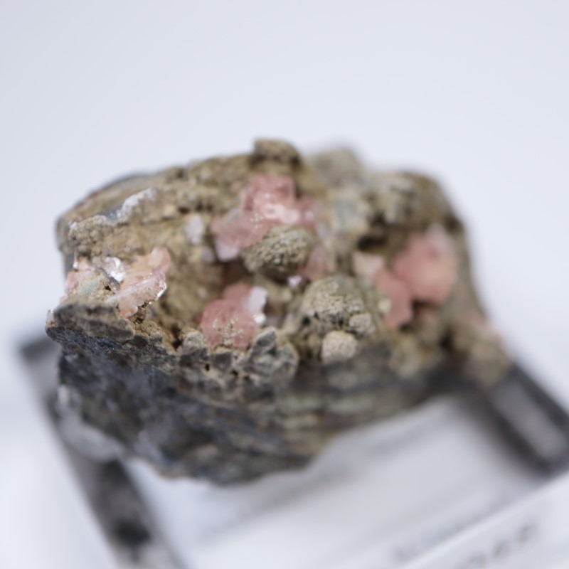 �ᥭ�������������ɥ���������