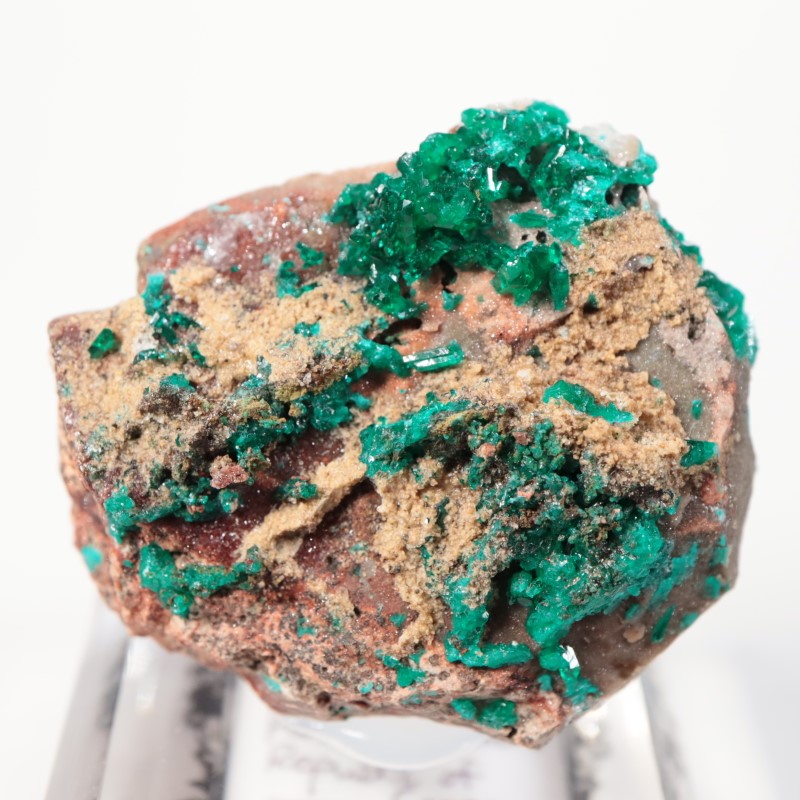 ���󥴻����������ץơ���