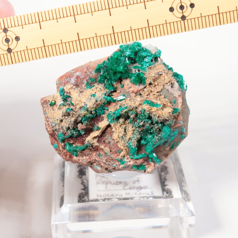 ���󥴻����������ץơ���