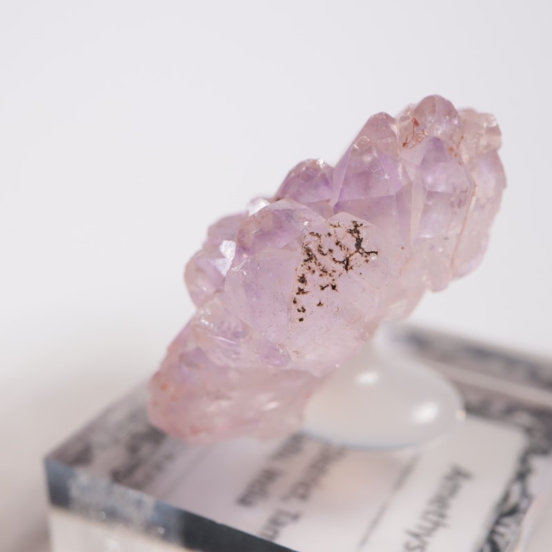 ����ɻ� �ե����᥷����