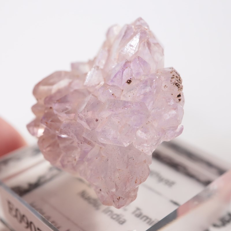 ����ɻ� �ե����᥷����