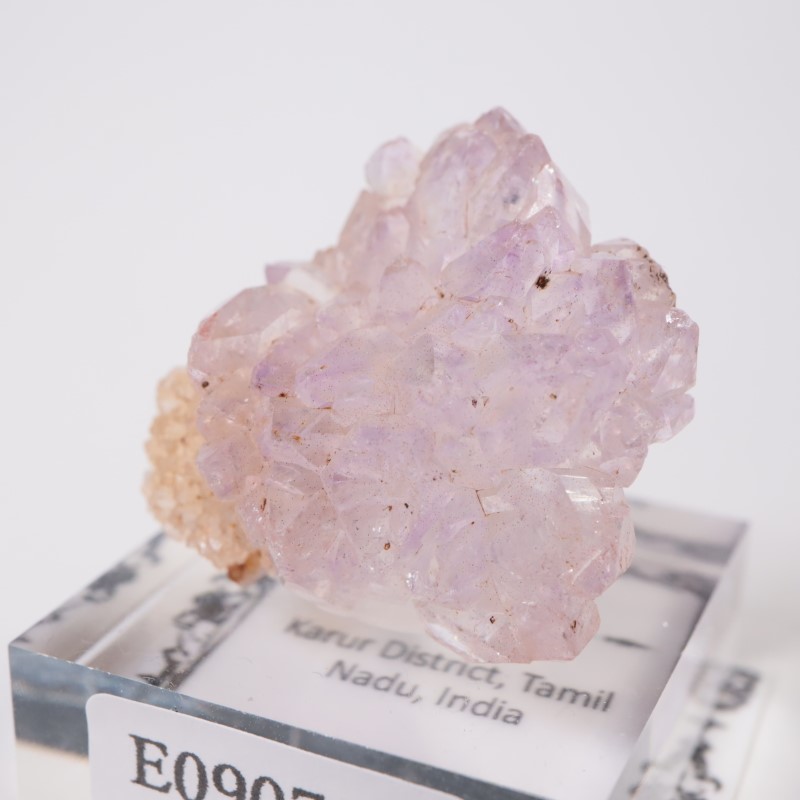 ����ɻ� �ե����᥷����