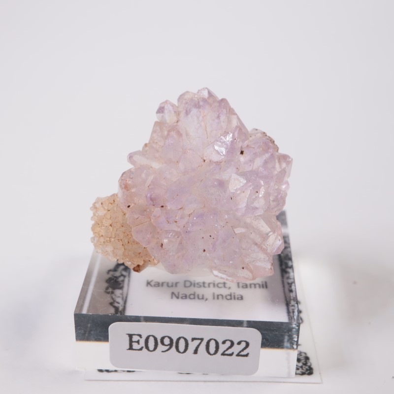 ����ɻ� �ե����᥷����