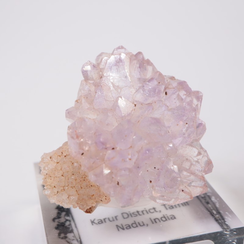 ����ɻ� �ե����᥷����