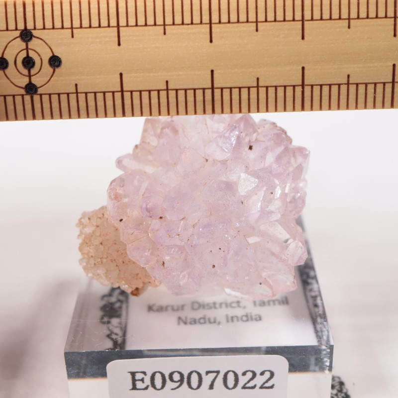 ����ɻ� �ե����᥷����