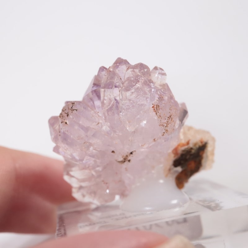 ����ɻ� �ե����᥷����