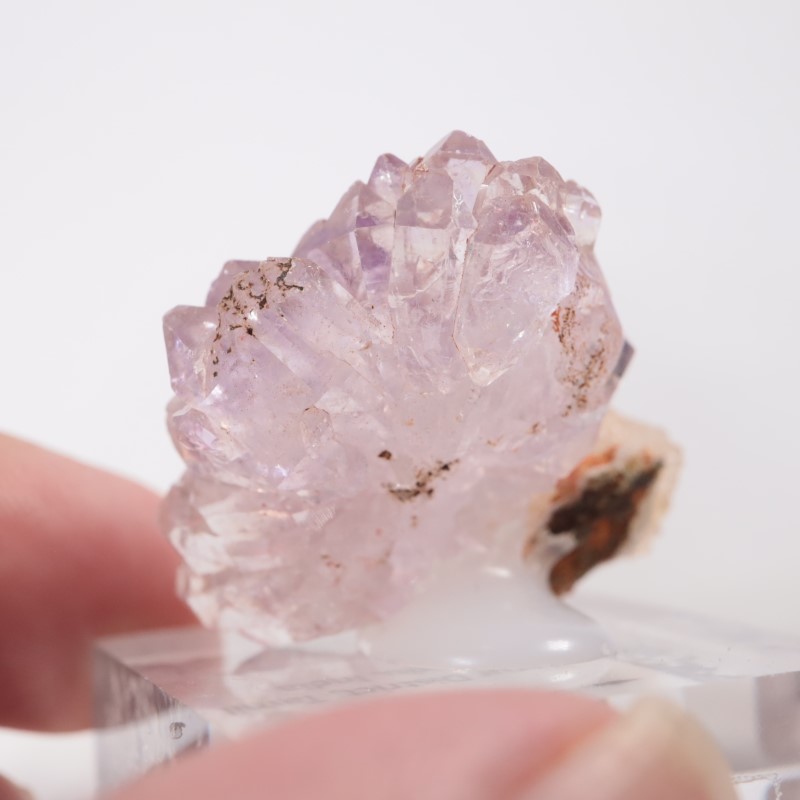 ����ɻ� �ե����᥷����