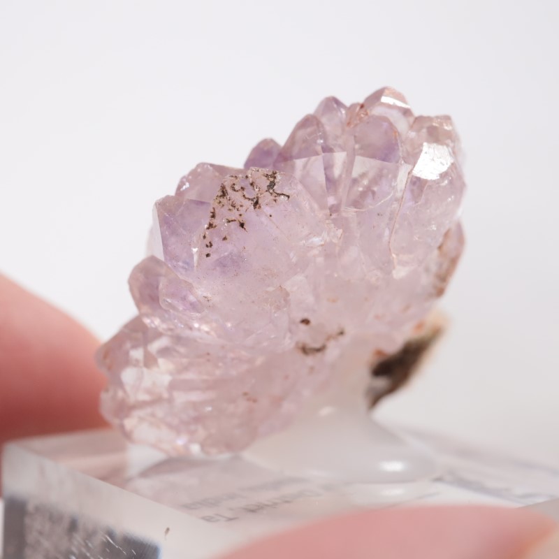 ����ɻ� �ե����᥷����