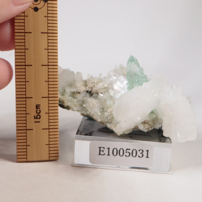 インド産 アポフィライト | 鉱物標本,ア行,アポフィライト/魚眼石