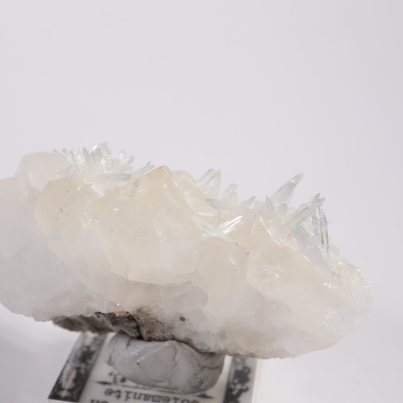 ����ե���˥����� ���쥹�ƥ���on������ޥ���