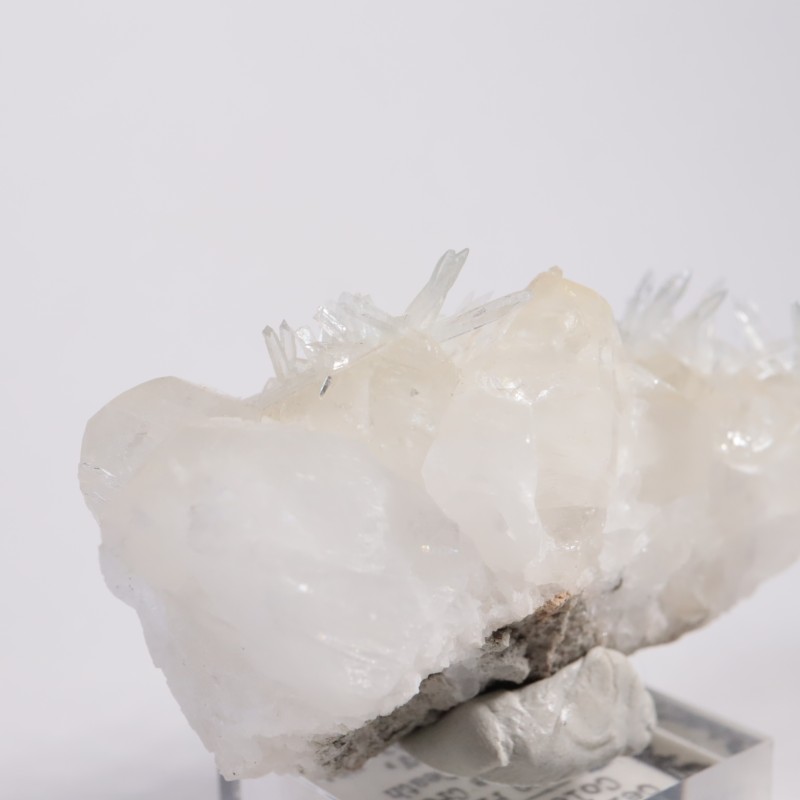 ����ե���˥����� ���쥹�ƥ���on������ޥ���