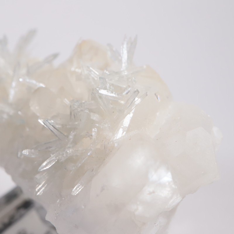 ����ե���˥����� ���쥹�ƥ���on������ޥ���