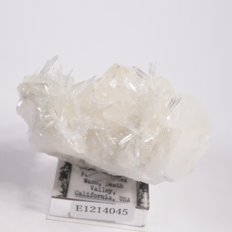 ����ե���˥����� ���쥹�ƥ���on������ޥ���