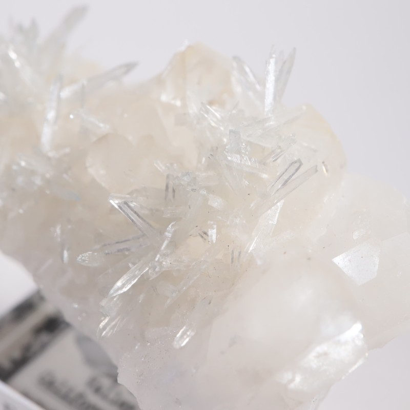 ����ե���˥����� ���쥹�ƥ���on������ޥ���