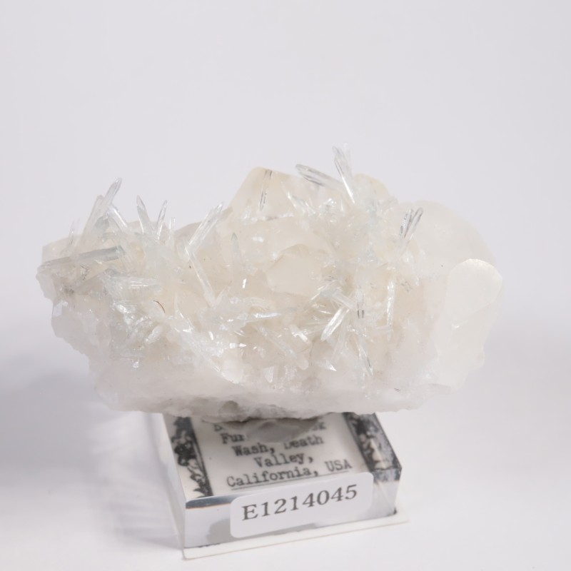 ����ե���˥����� ���쥹�ƥ���on������ޥ���