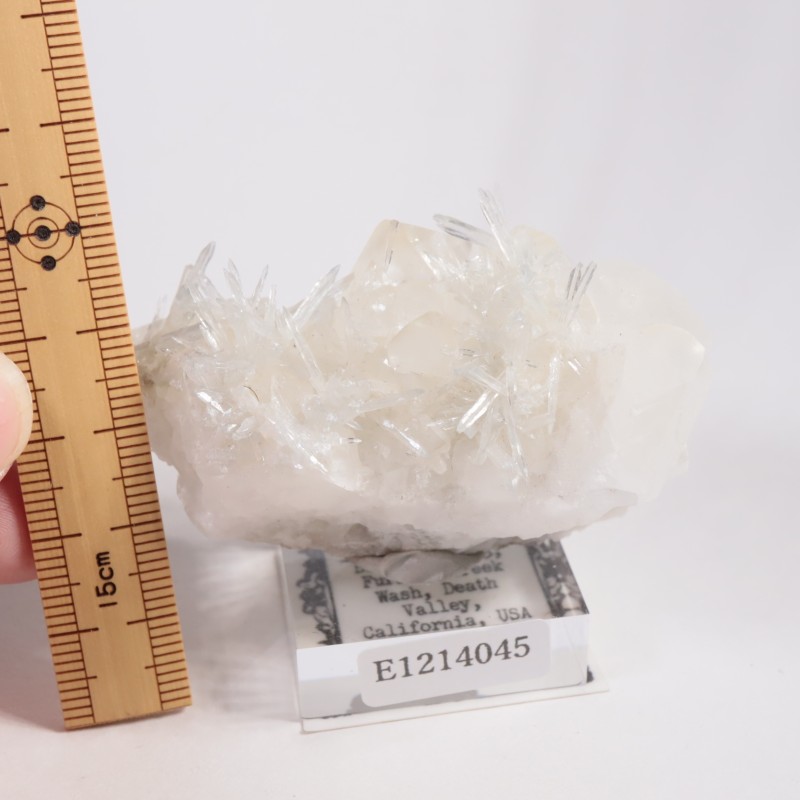 ����ե���˥����� ���쥹�ƥ���on������ޥ���