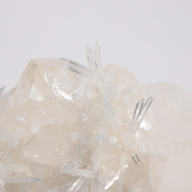 ����ե���˥����� ���쥹�ƥ���on������ޥ���