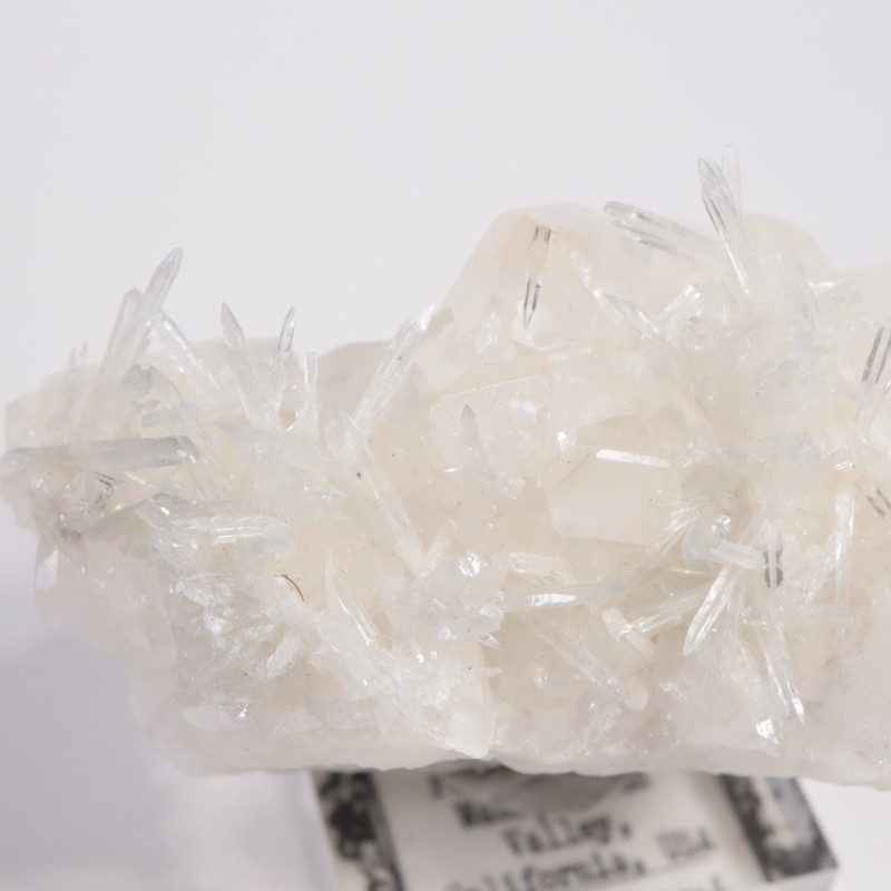 ����ե���˥����� ���쥹�ƥ���on������ޥ���