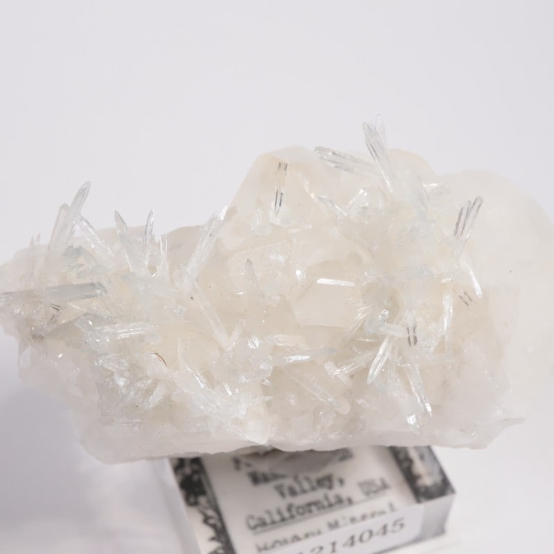 ����ե���˥����� ���쥹�ƥ���on������ޥ���