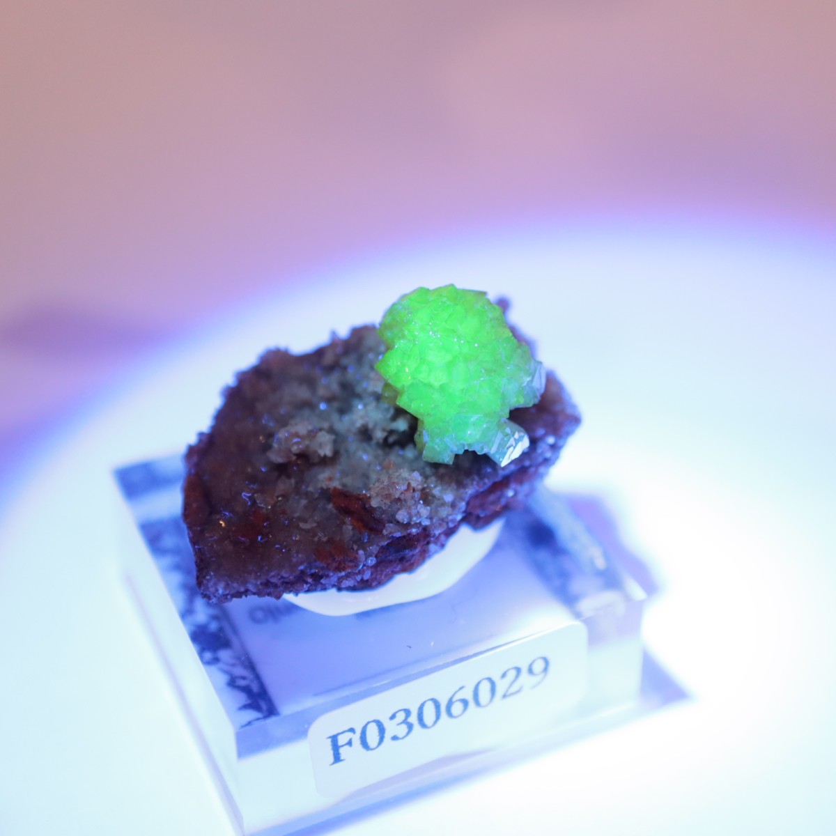 Ojuela�ۻ��� �����ޥ���