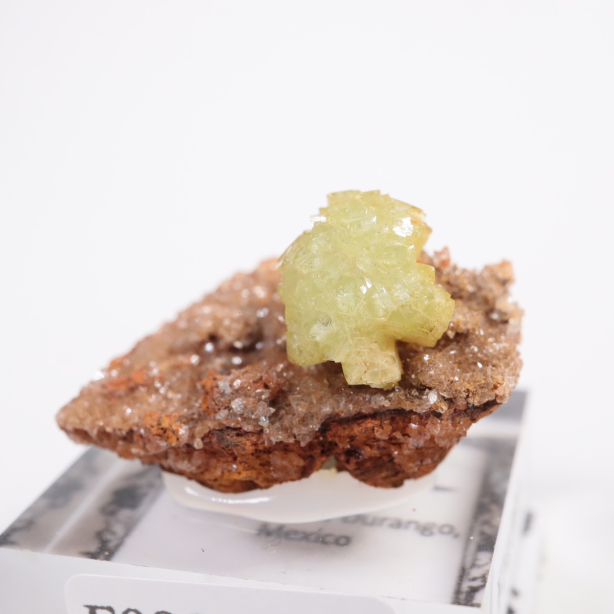 Ojuela�ۻ��� �����ޥ���