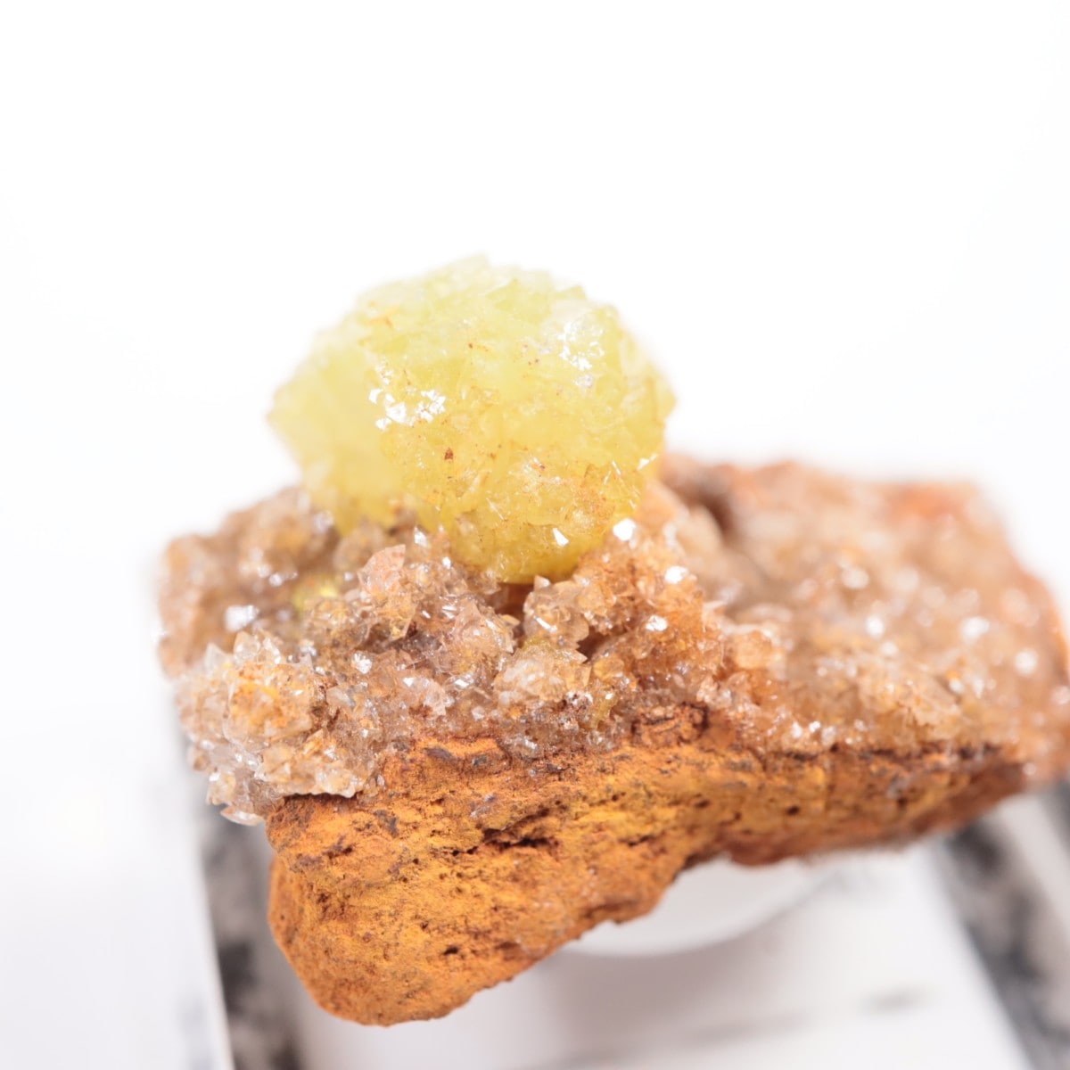 Ojuela�ۻ��� �����ޥ���