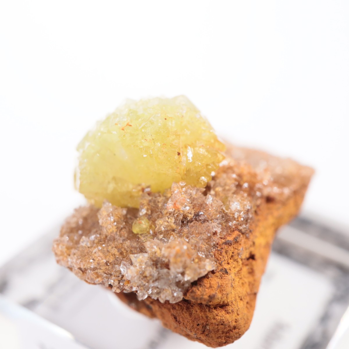 Ojuela�ۻ��� �����ޥ���