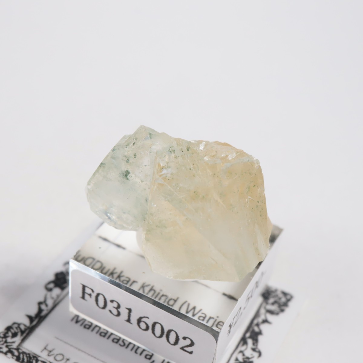 ����ɻ� ���ݥե��饤��