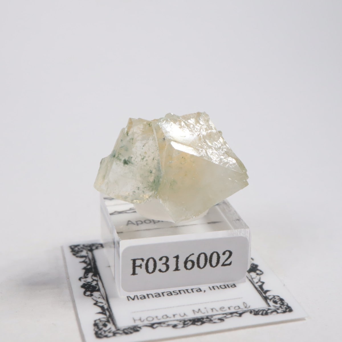 ����ɻ� ���ݥե��饤��