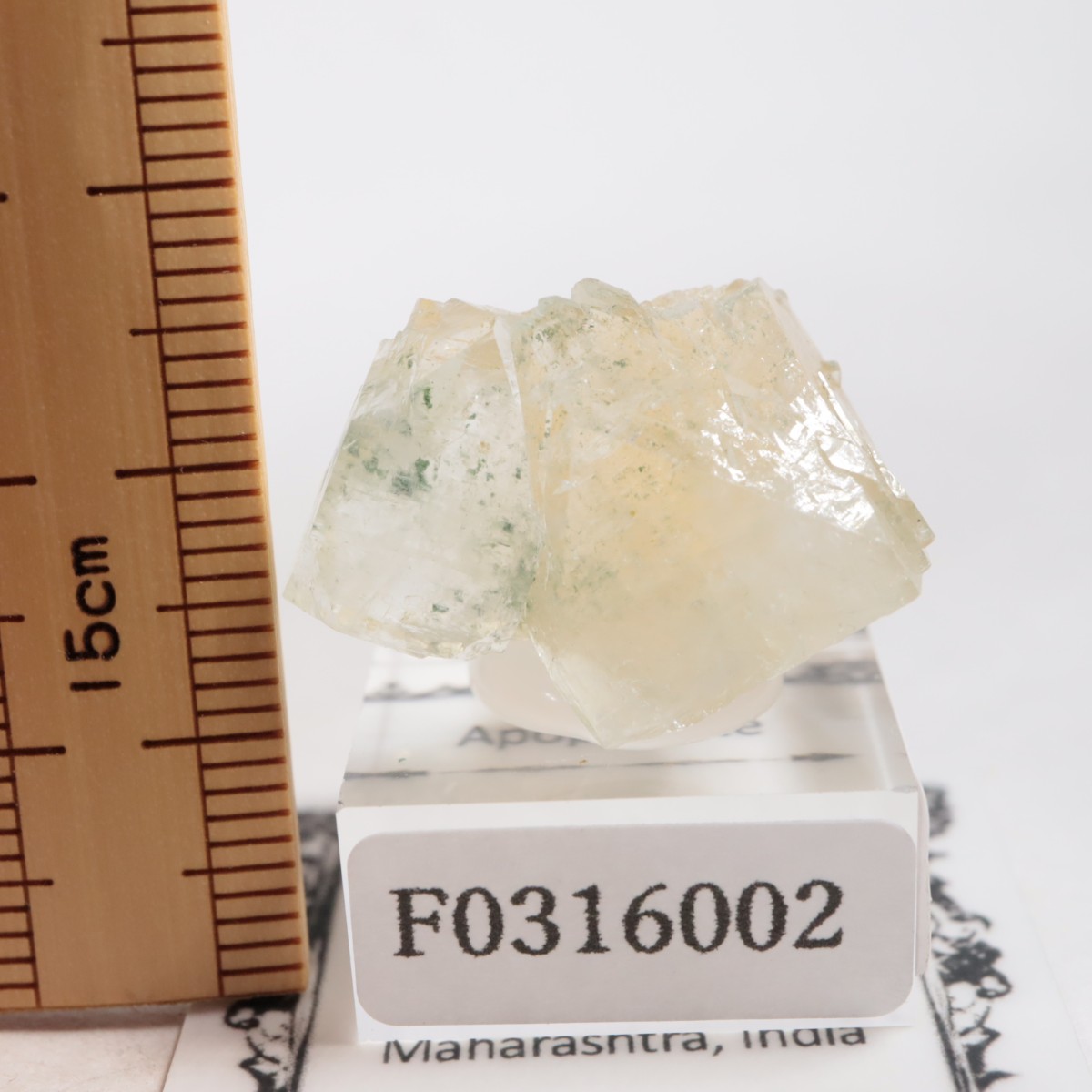 ����ɻ� ���ݥե��饤��