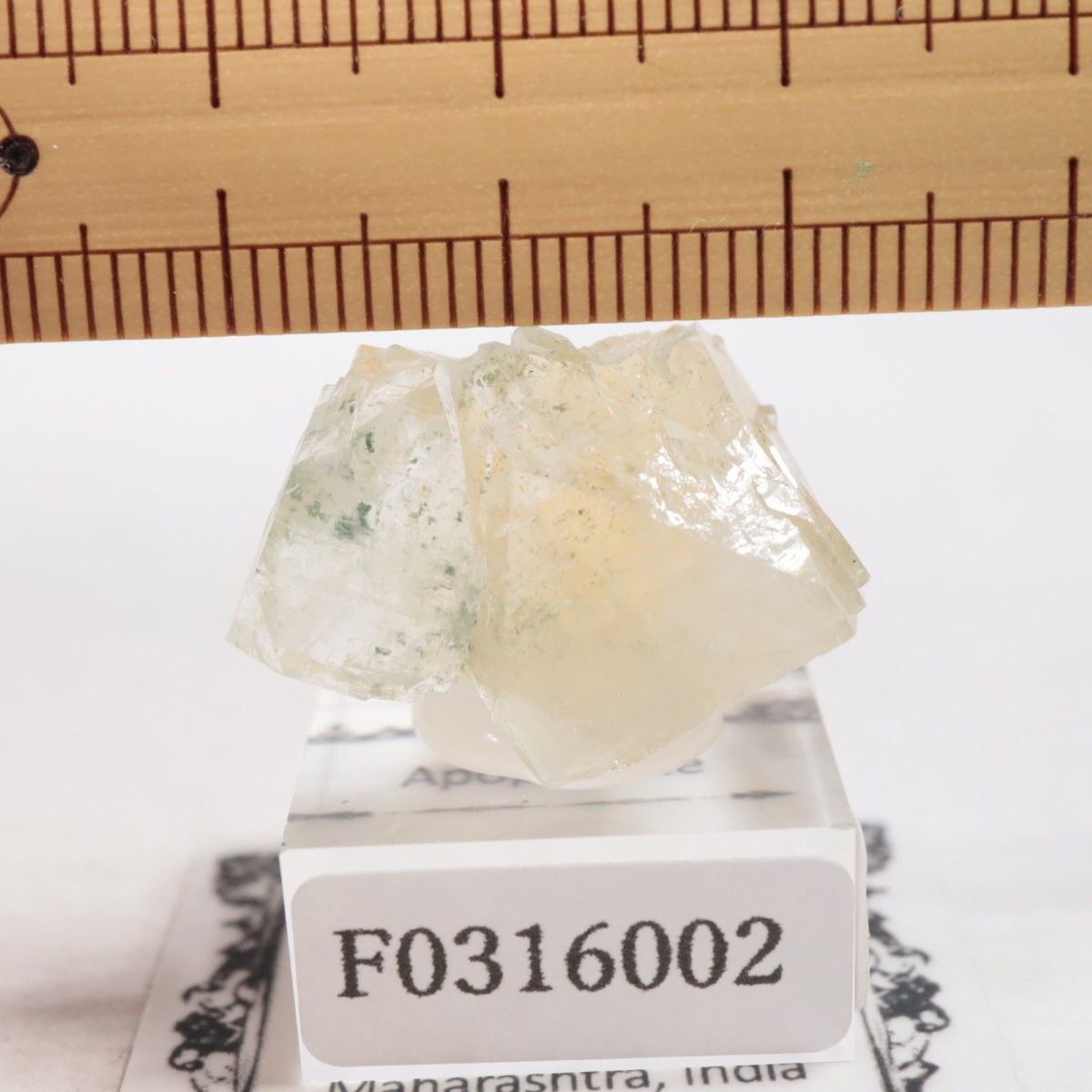 ����ɻ� ���ݥե��饤��