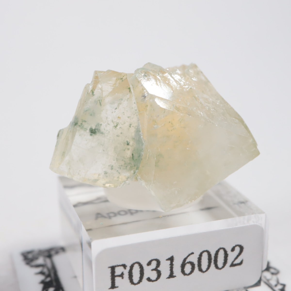 ����ɻ� ���ݥե��饤��