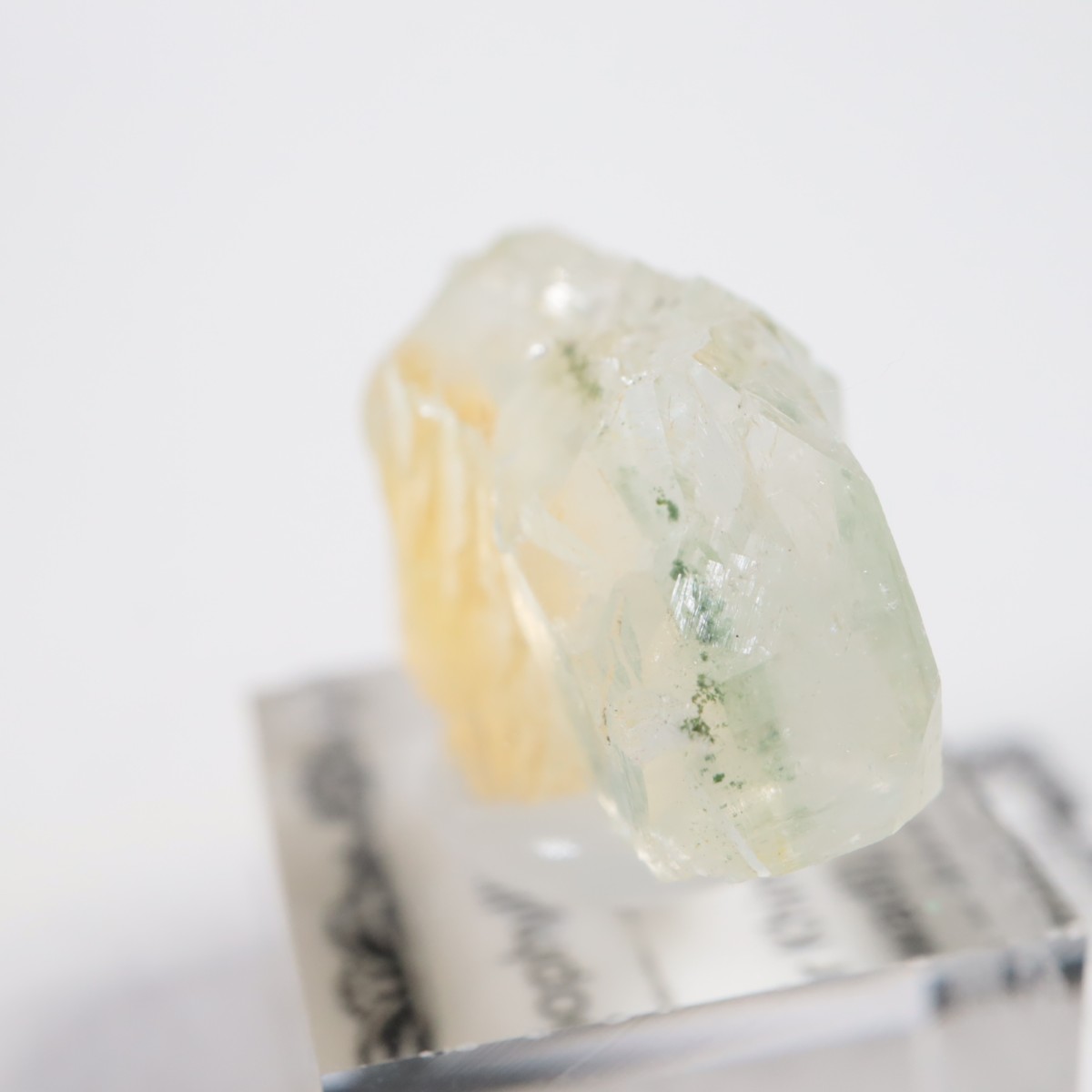 ����ɻ� ���ݥե��饤��