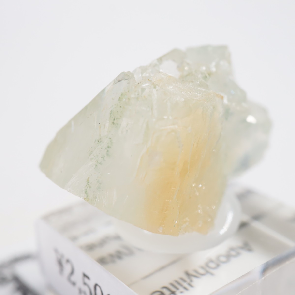 ����ɻ� ���ݥե��饤��