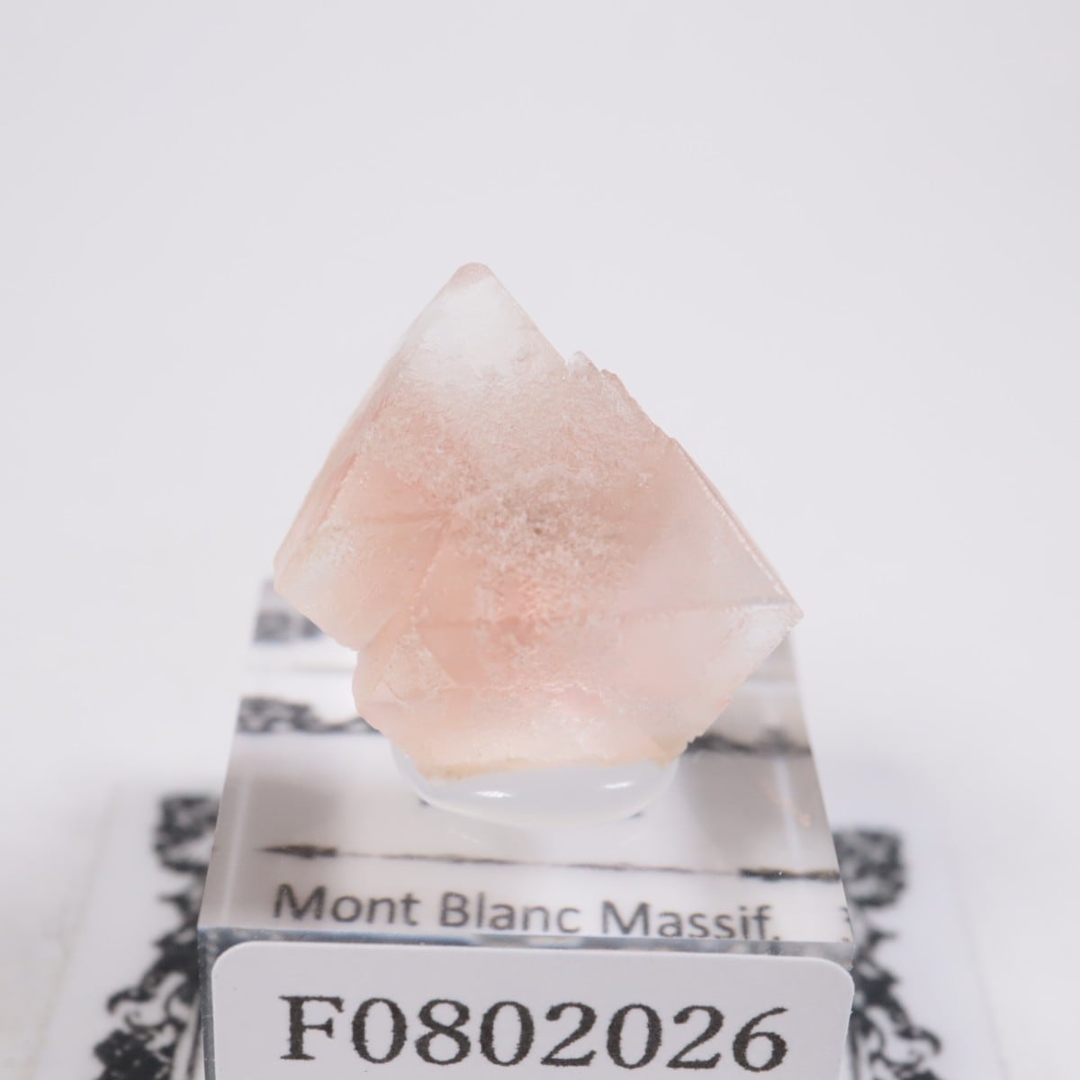 ���֥�� �ե����饤��