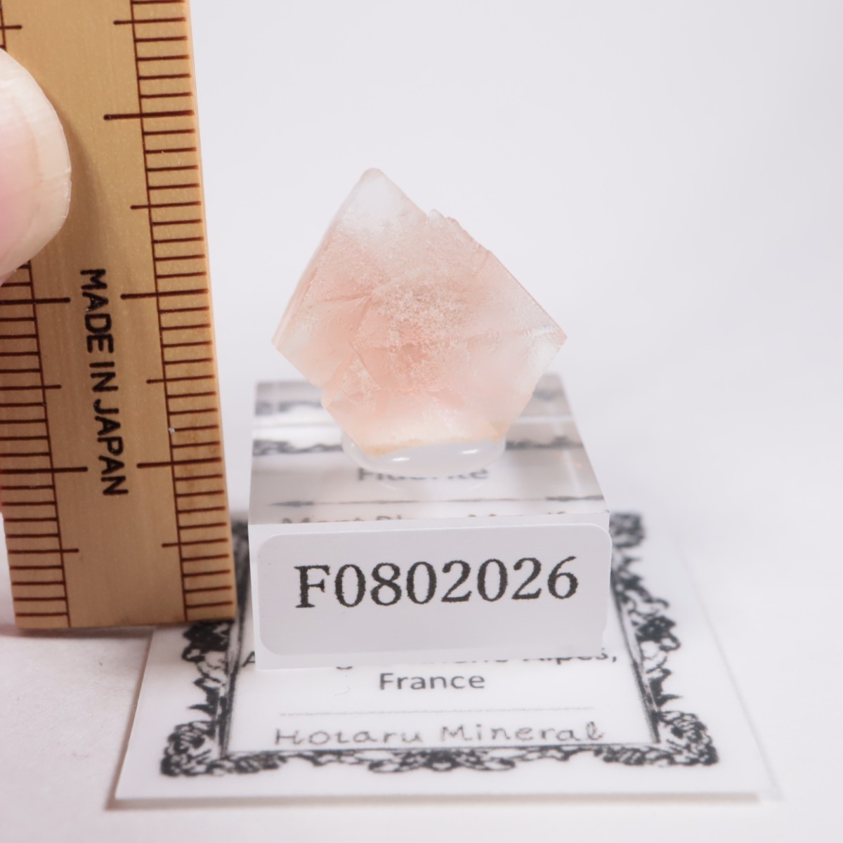 ���֥�� �ե����饤��